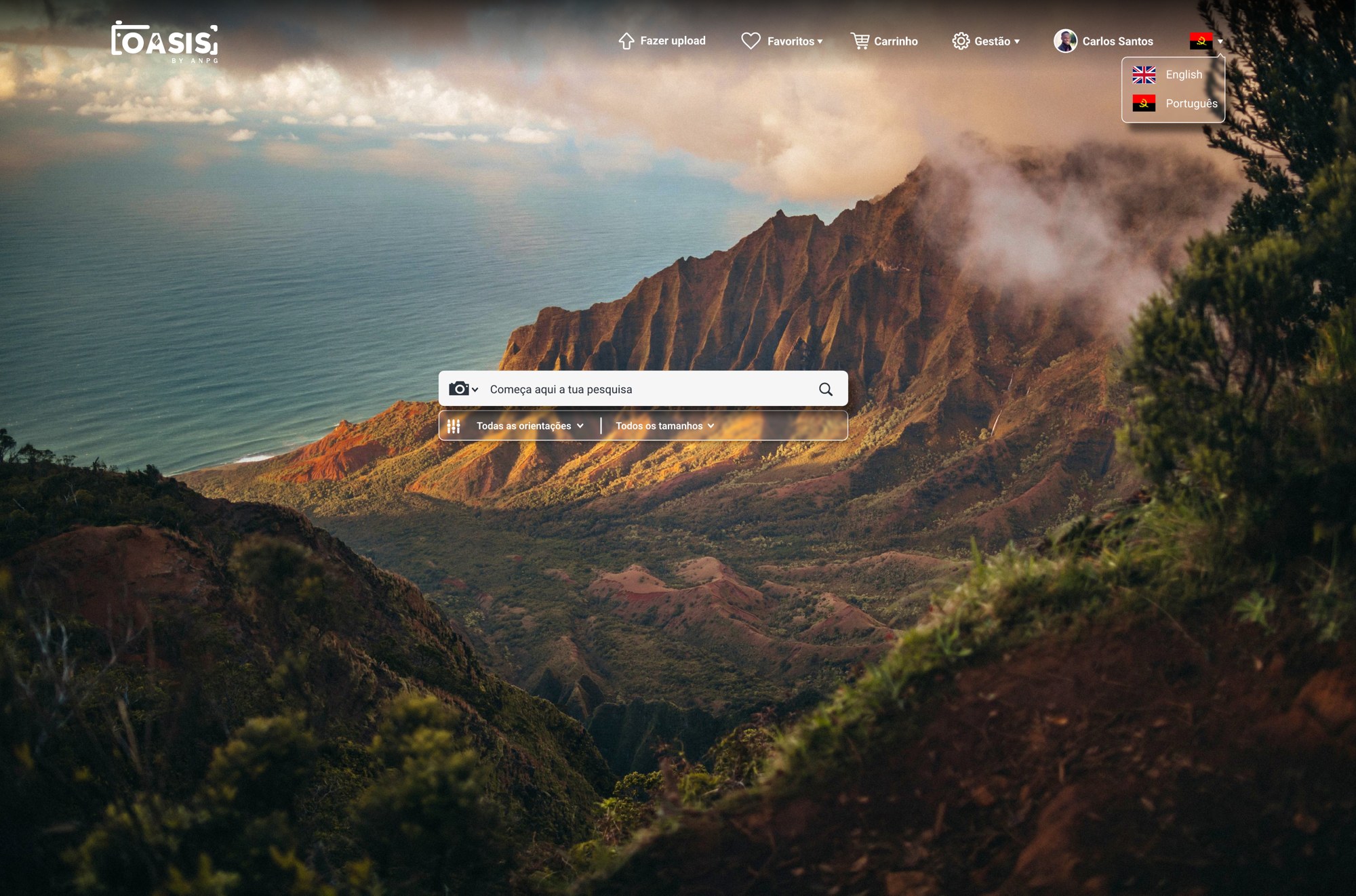 OASIS home screen — full-bleed media search interface for ANPG